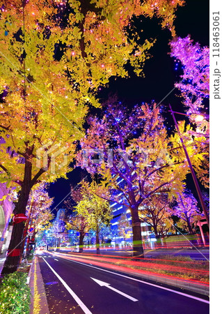 【大阪府】御堂筋イルミネーション 【大阪府】御堂筋イルミネーション 118463061