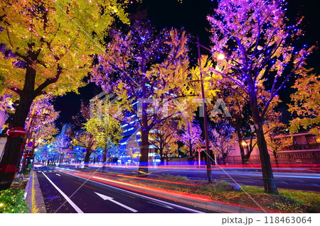 【大阪府】御堂筋イルミネーション 118463064