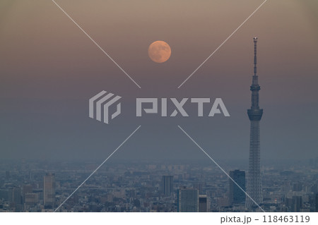 《東京都》中秋の名月とスカイツリー・東京のお月見・2024年9月17日 118463119