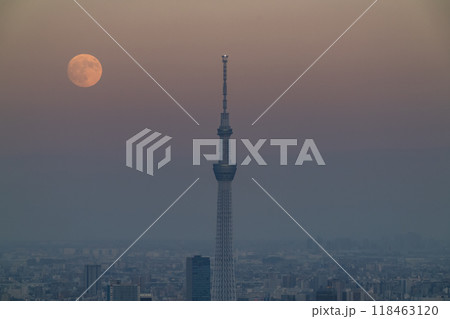 《東京都》中秋の名月とスカイツリー・東京のお月見・2024年9月17日 118463120