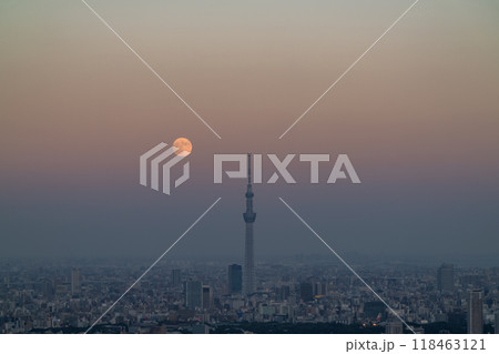 《東京都》中秋の名月とスカイツリー・東京のお月見・2024年9月17日 《東京都》中秋の名月とスカイツリー・東京のお月見・2024年9月17日 118463121