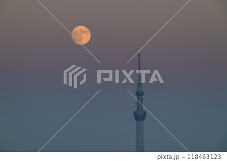 《東京都》中秋の名月とスカイツリー・東京のお月見・2024年9月17日 《東京都》中秋の名月とスカイツリー・東京のお月見・2024年9月17日 118463123
