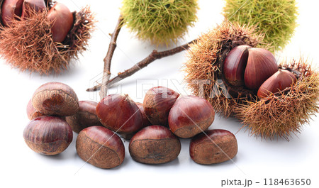 秋の味覚 栗 ( 白背景 ) 秋の味覚 栗 ( 白背景 ) 118463650