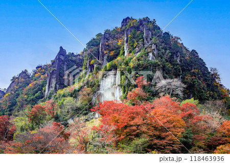 一目八景 118463936