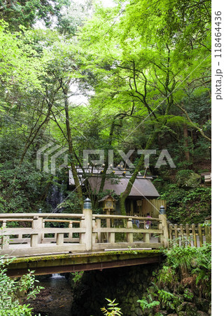《多度大社・本殿前》三重県桑名市多度町 《多度大社・本殿前》三重県桑名市多度町 118464436