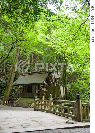 《多度大社・本殿前》三重県桑名市多度町 118464530