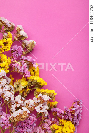 Flowers composition. Gypsophila flowers on pink background. Flat lay, top view, copy space. Vertical foto 118464752