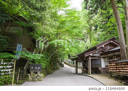 《多度大社・境内参道》三重県桑名市多度町 118464800