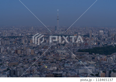 《東京都》スカイツリーをのぞむ都市夜景 118465137