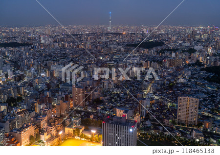 《東京都》スカイツリーをのぞむ都市夜景 118465138