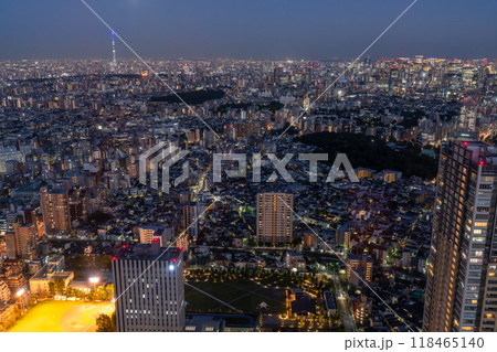 《東京都》スカイツリーをのぞむ都市夜景 118465140