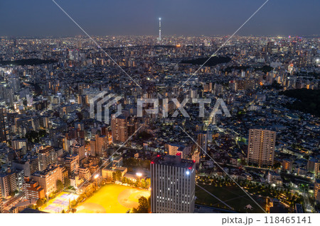 《東京都》スカイツリーをのぞむ都市夜景 《東京都》スカイツリーをのぞむ都市夜景 118465141