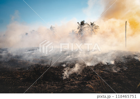 Burning dry grass 118465751