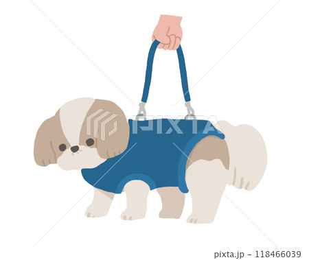 ハーネスをつけた犬 ハーネスをつけた犬 118466039