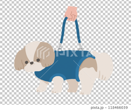 ハーネスをつけた犬 ハーネスをつけた犬 118466039