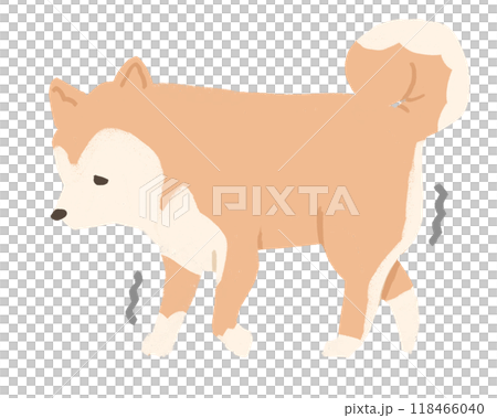 ふらつく犬 118466040