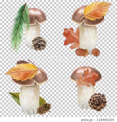 Porcini mushroom, alder leaf, cones, pine, oak watercolor compositions isolated on white. High quality hand painted plant design element perfect for cards, banners, posters, patterns, autumn decor 118466204