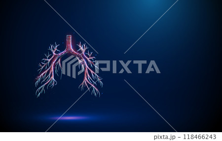 Abstract red human bronchial tree structure. Lungs anatomy, left and right bronchus, bronchioles, trachea. Healthcare medical concept. 118466243