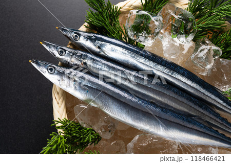 新鮮な秋刀魚 食べ物イメージ 新鮮な秋刀魚 食べ物イメージ 118466421
