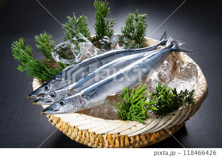 新鮮な秋刀魚　食べ物イメージ 118466426