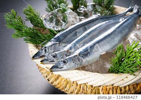 新鮮な秋刀魚　食べ物イメージ 118466427
