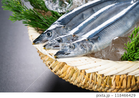 新鮮な秋刀魚 食べ物イメージ 新鮮な秋刀魚 食べ物イメージ 118466429
