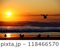 浜辺と海鳥 浜辺と海鳥 118466570