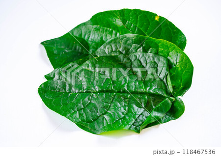 ツルムラサキの葉　 118467536