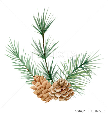 Watercolor composition with spruce and pine branches and cones on white background. Watercolor composition with spruce and pine branches and cones on white background. 118467796