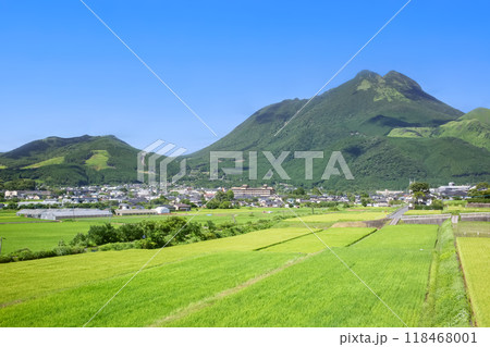 新緑の湯布院盆地　田園風景 118468001