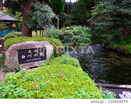 名水白川水源 118468074
