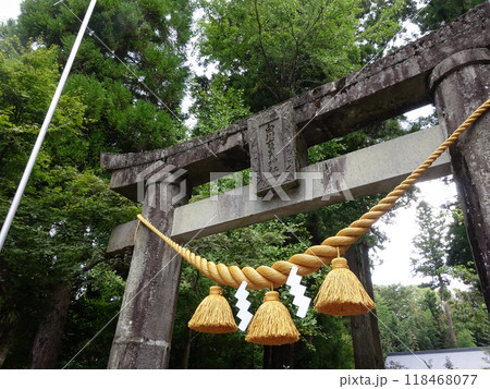 白川水源 白川吉見神社 鳥居 118468077