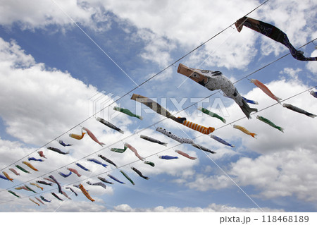 爽やかな5月の風に乗って鯉のぼりたちは心地よさそうに泳ぐ。 118468189