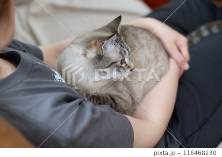 ネコを抱く ネコを抱く 118468230