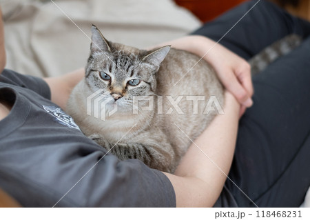 ネコを抱く 118468231