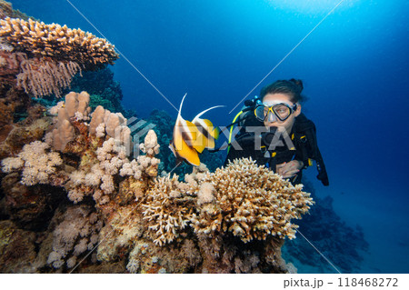 Young Woman Diver Looking at Flat Fish. Coral Reef with Colored Hard Corals and Fish. Marsa Alam, Egypt. 118468272