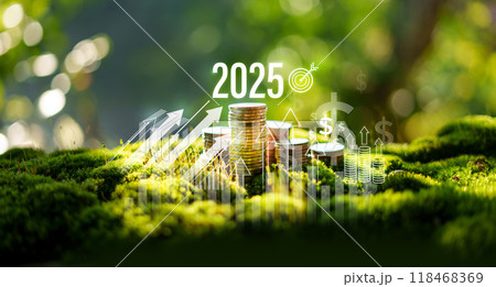 Money Growth and Environment 2025, Silver Coins Stack in Nature 118468369