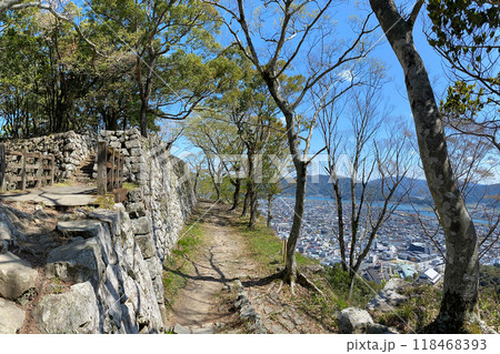城山からの佐伯市街地と番匠川の眺望 118468393