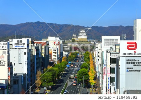【兵庫県】快晴の姫路城と大手前通り 【兵庫県】快晴の姫路城と大手前通り 118468592