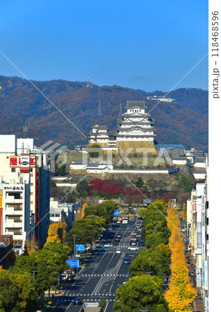 【兵庫県】快晴の姫路城と大手前通り 118468596