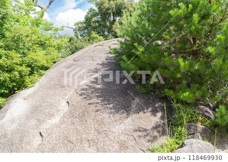 貝吹き岩（笠置寺） 118469930