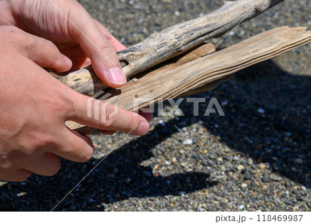 流木拾い 118469987