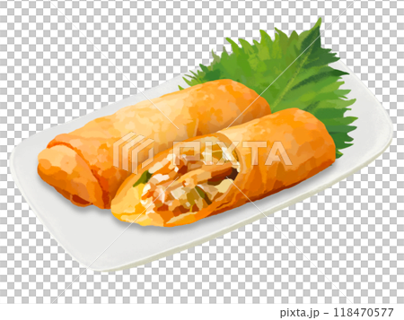 Spring rolls (1 roll and cross section) on a long plate 118470577
