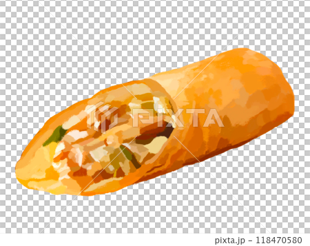 Spring rolls (cross section) without plate 118470580