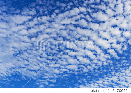 うろこ雲 うろこ雲 118470632