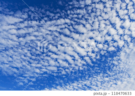 うろこ雲　 118470633
