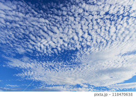 うろこ雲　 118470638