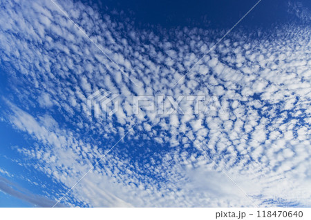 うろこ雲 うろこ雲 118470640