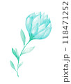 Isolated softness teal colored floral design element 118471252