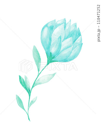 Isolated softness teal colored floral design element 118471252
